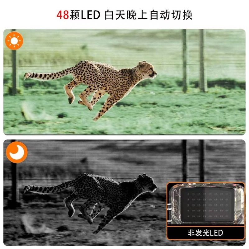 ÇOK İNDİRİMLİ DL001 Avcılık Ka - Outdoor Hunting Video Camera incelemesi ve fiyatı