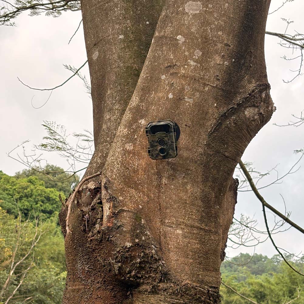 Avcılık takip kamerası 16MP 10 - Outdoor Hunting Video Camera incelemesi ve fiyatı