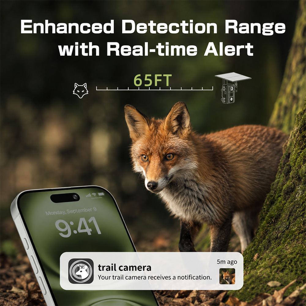 AB 4G Hücresel 2K Pil Güçlü So - Outdoor Hunting Video Camera incelemesi ve fiyatı