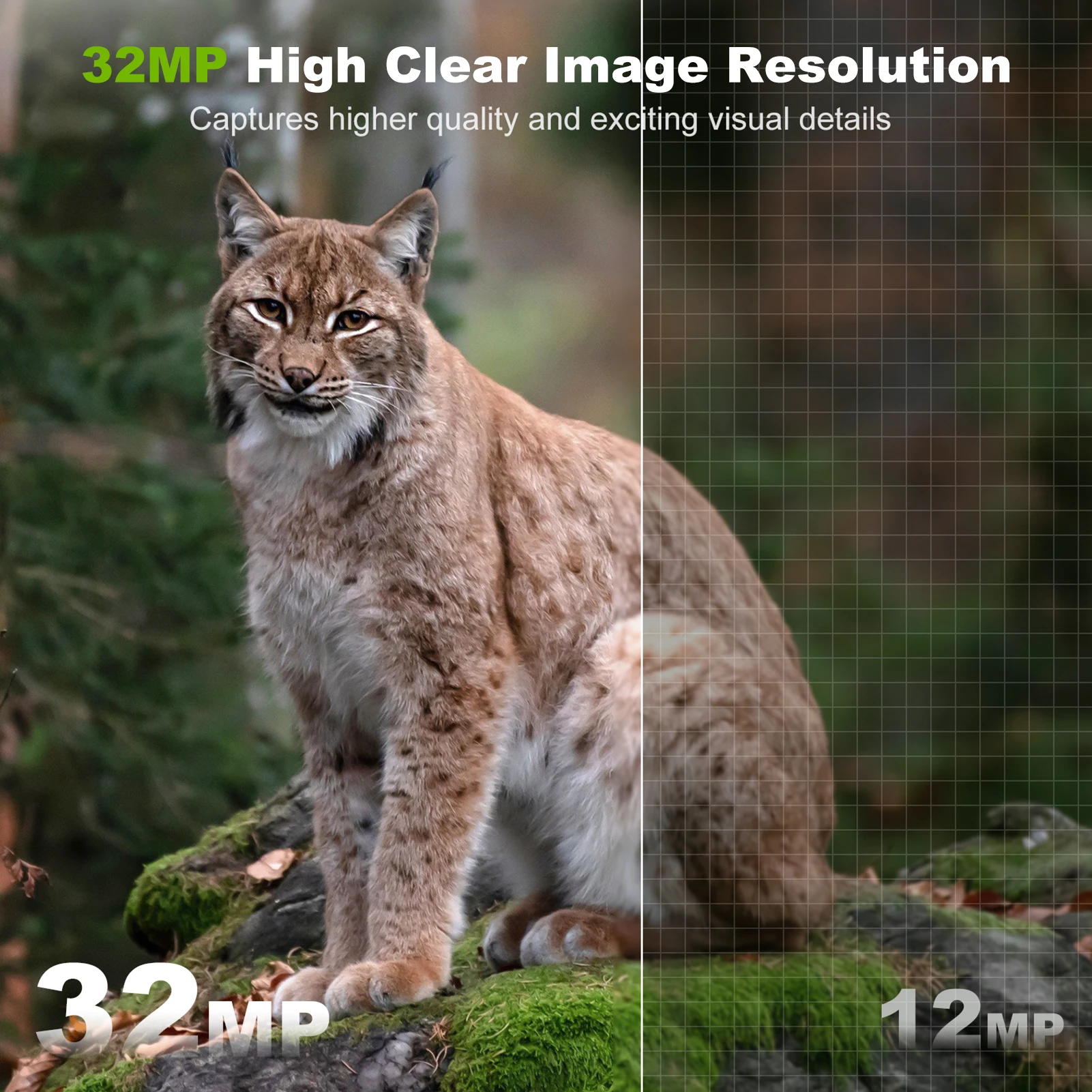 Güneş Kamerası Açık Kablosuz T - Outdoor Hunting Camera Wifi incelemesi ve fiyatı